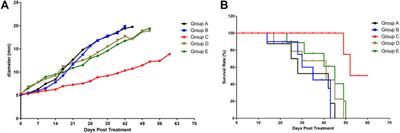 Quantitative Proteomics Analysis of FFPE Tumor Samples Reveals the Influences of NET-1 siRNA Nanoparticles and Sonodynamic Therapy on Tetraspanin Protein Involved in HCC